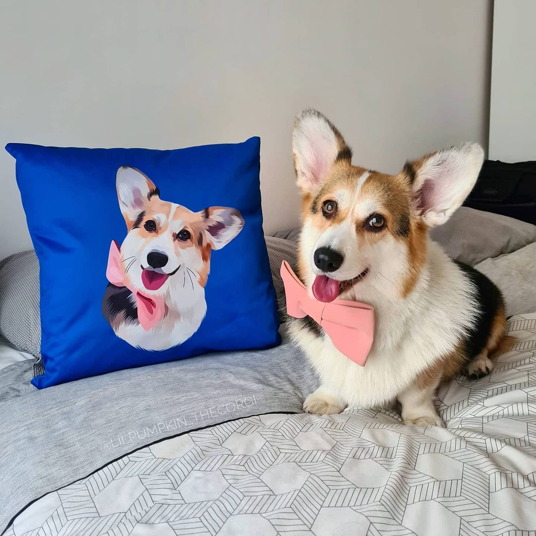 A Gorgi sitting next to the product of customized pet portrait cushion